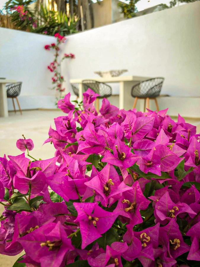 Ds Traditional Villas Santorini Island Karterados  Extérieur photo